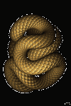 pic for snake movement  